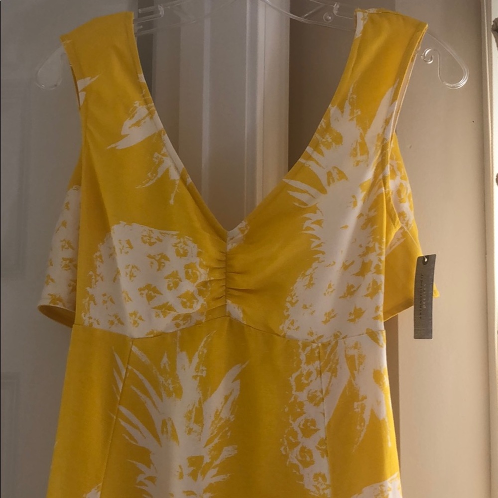 NWT 🍍 Anthropologie Pineapple Midi Dress 2P
